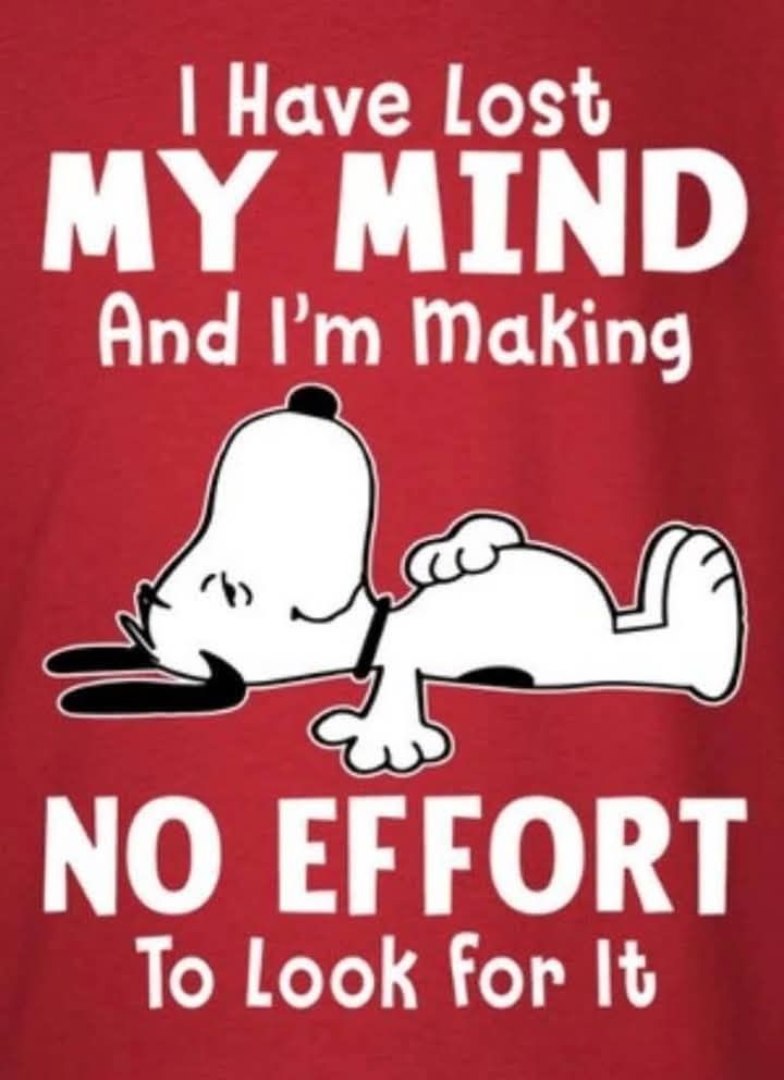 042bdd2a51c5f95ba3ed14532ccf4329.jpg