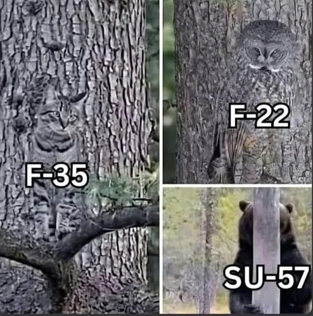1752222444686.jpeg