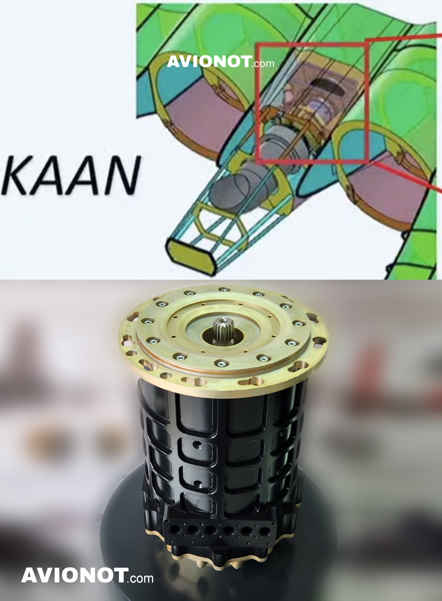 1753382776637.jpeg