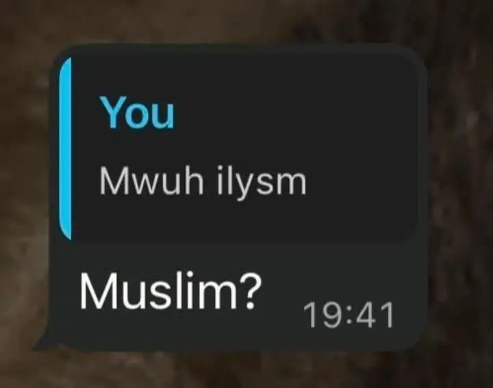 1785089556411.png