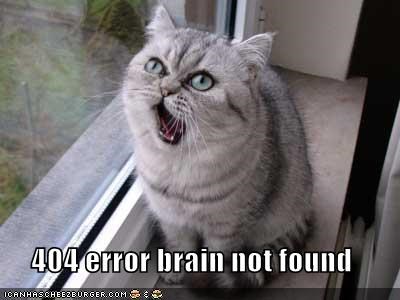 404-error-brain-not-found.jpg