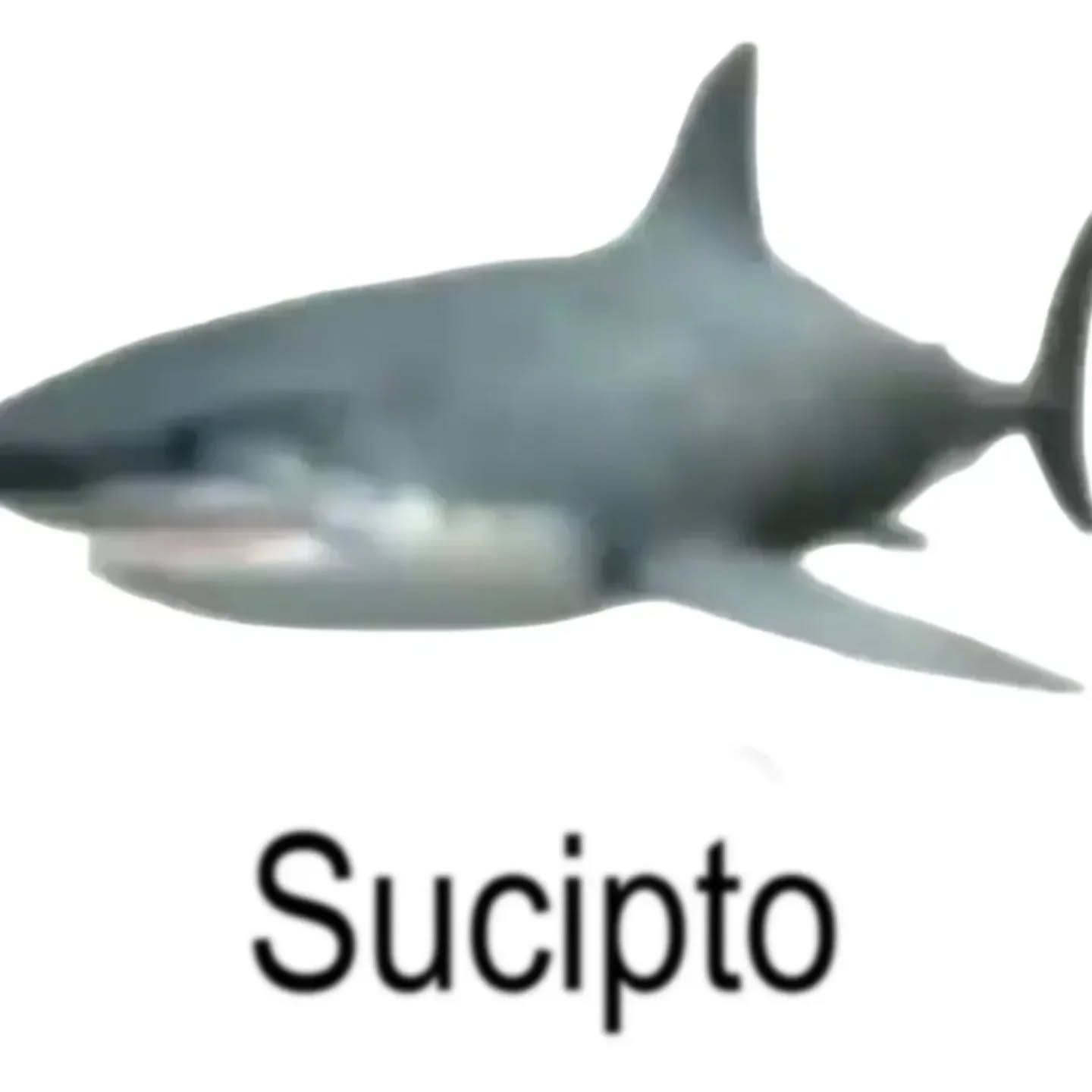 551091232_17936493495080366_2312186576034358613_n.jpeg