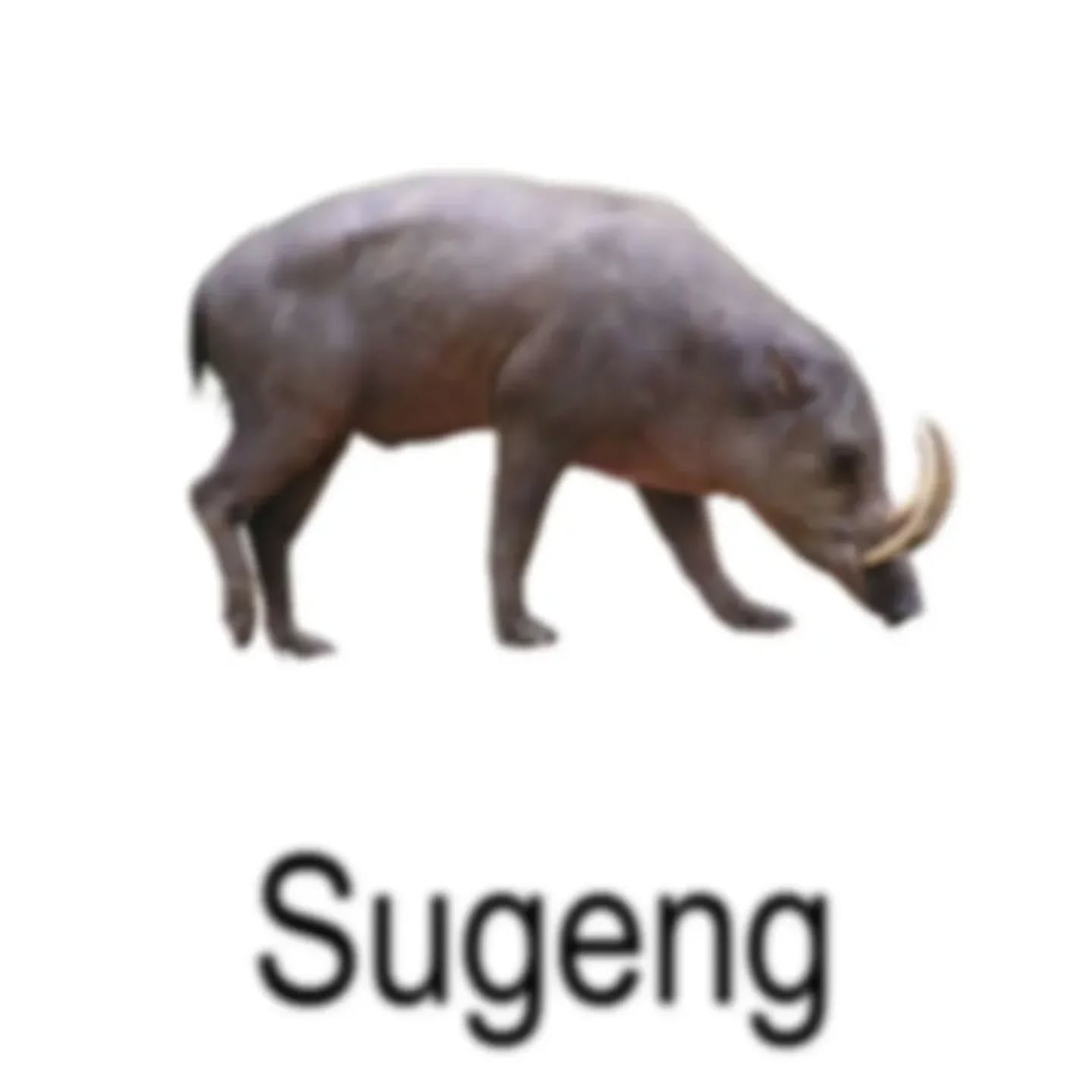 551319017_17936493513080366_2459952374198401779_n.jpeg