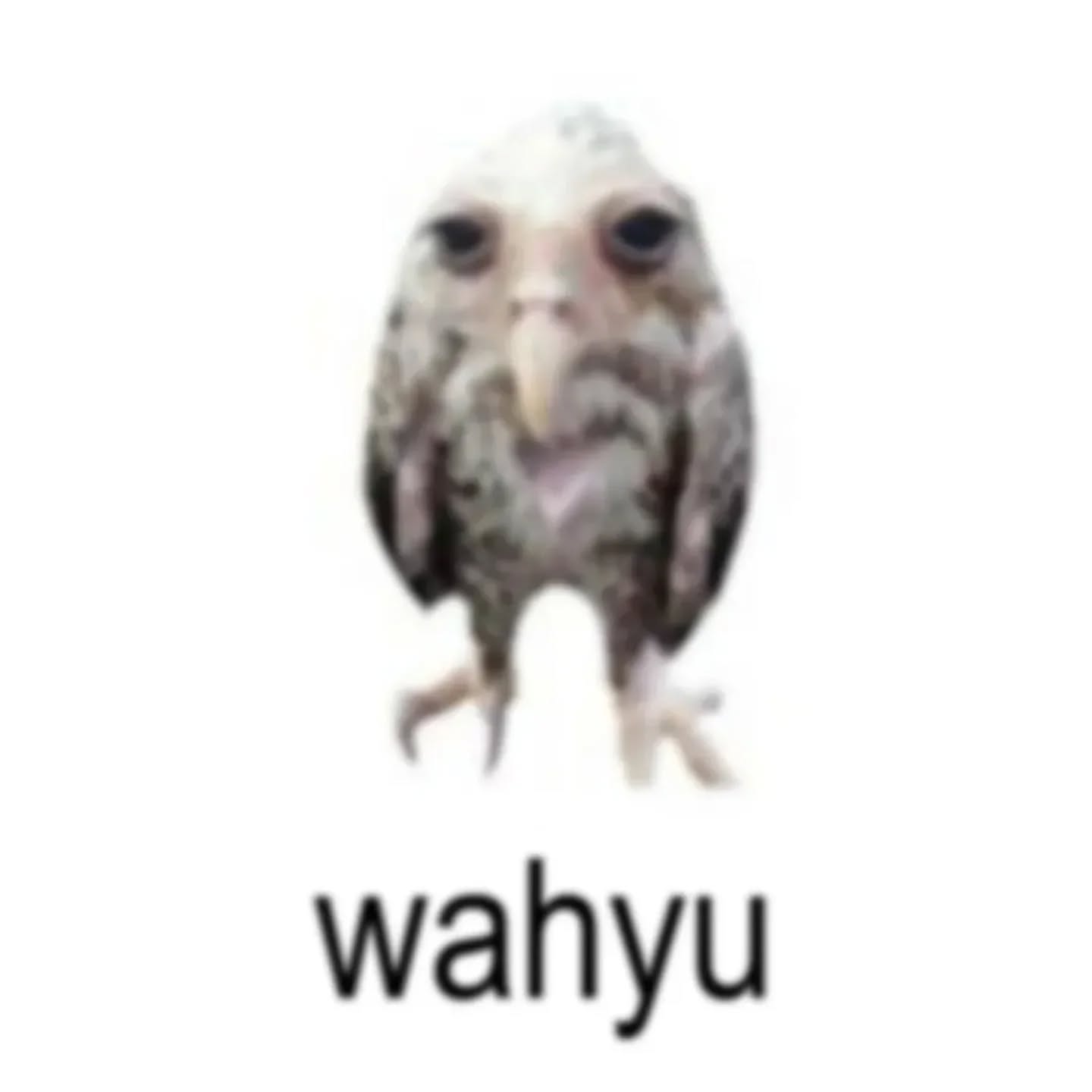 551428371_17936493468080366_6386866650555787501_n.jpeg