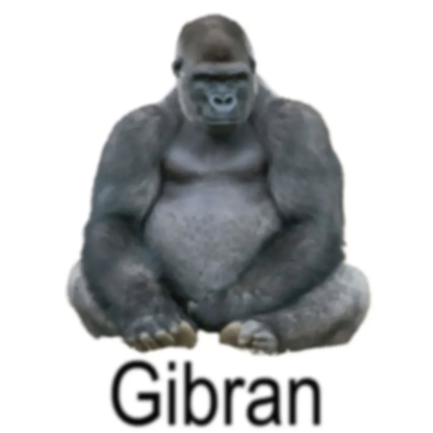 551835249_17936493486080366_1354921069157196829_n.jpeg