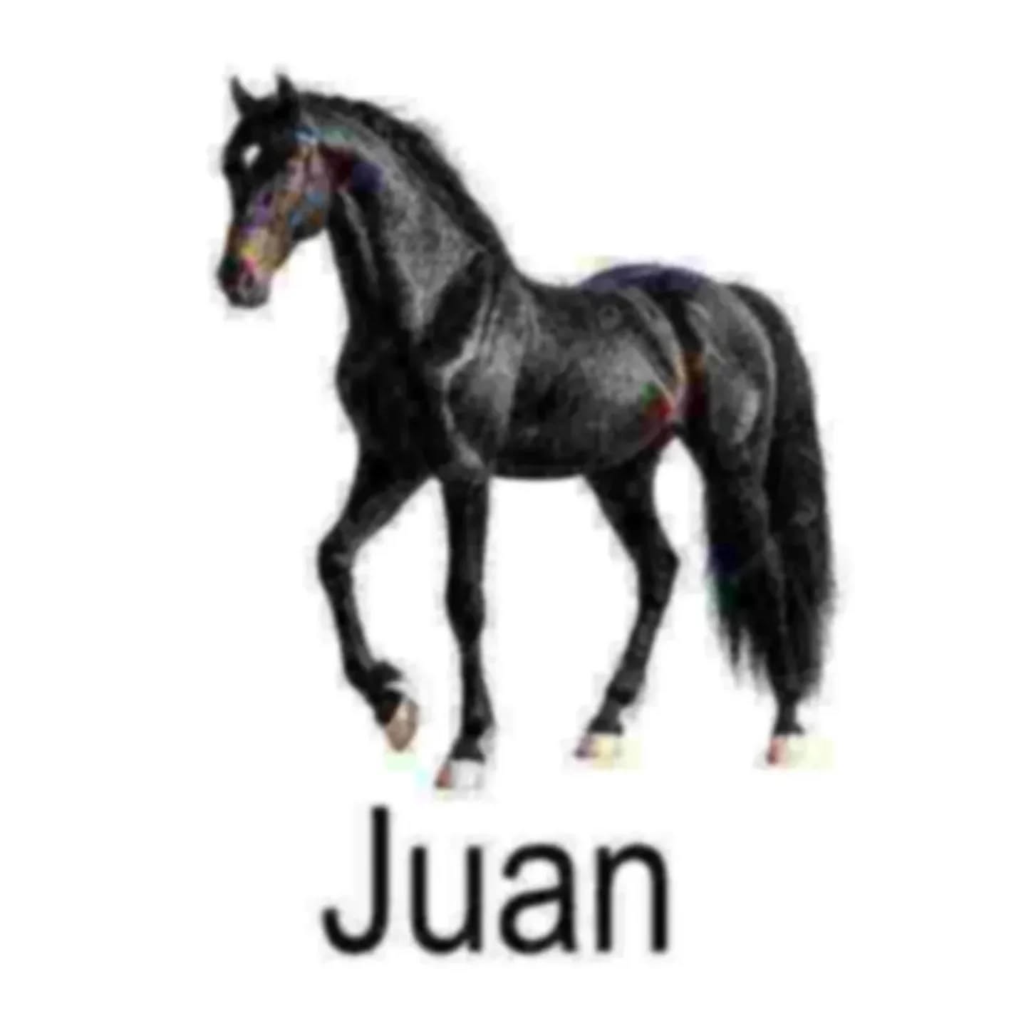 552273393_17936493423080366_7155250170650299596_n.jpeg