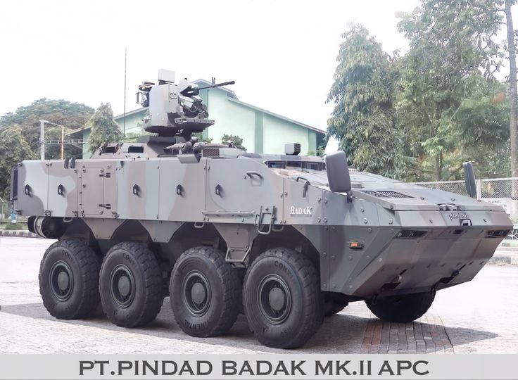 Badak_IFV_30_61317e9.jpg