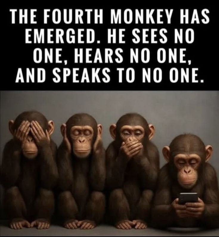 d6f7795b996e94917d7fc395558cba02.jpg