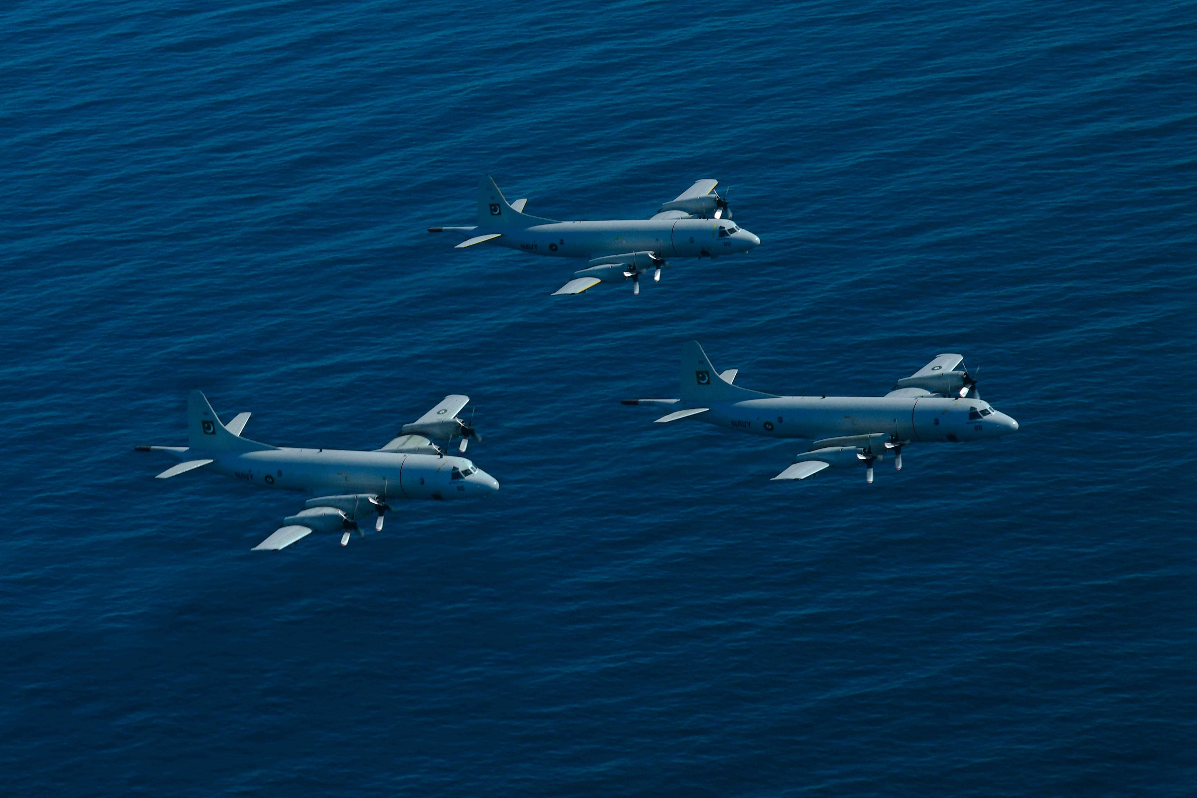 DSC_7489a.jpg