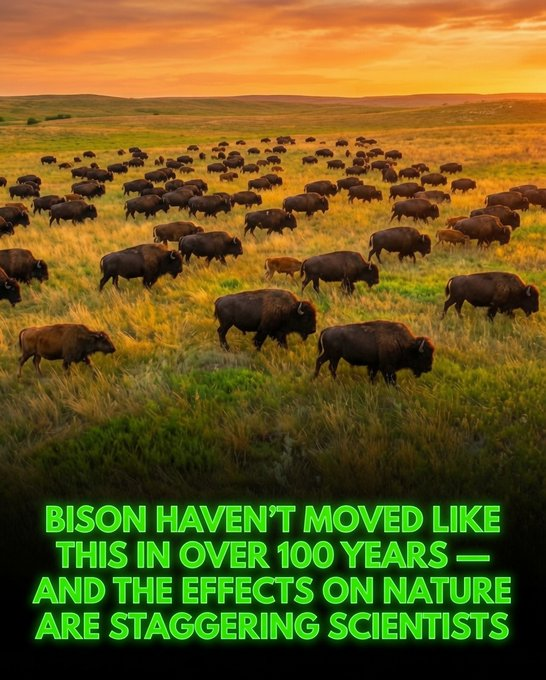 HQBZM4SWgAALDEF.png