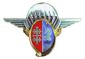 Insigne_régimentaire_du_1er_régiment_de_hussards_parachutistes.jpg