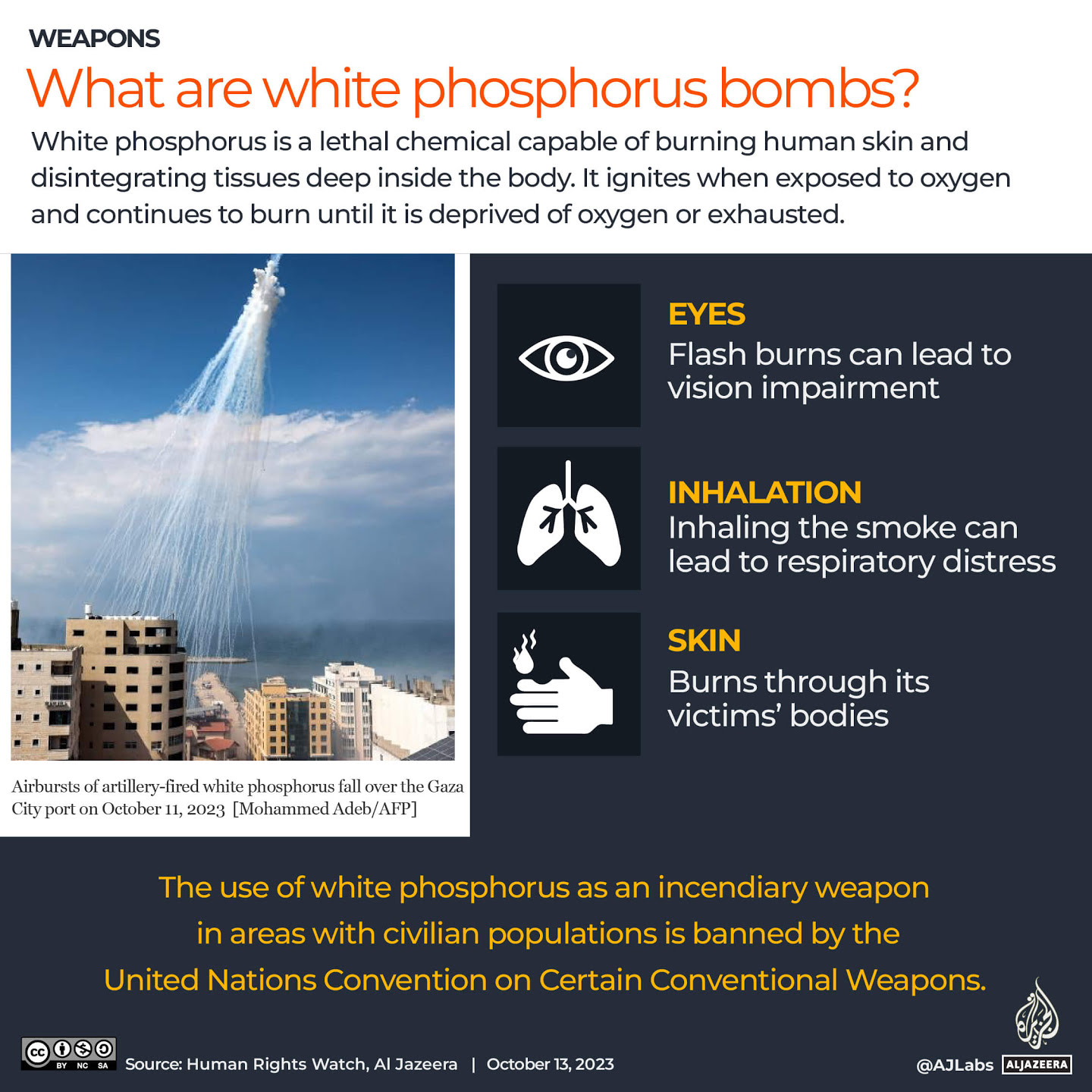 Interactive_WhitePhosphoru_Revised2_INTERACTIVE-White-phosphorus-bombs-Israel-Gaza-War-1697179...jpg