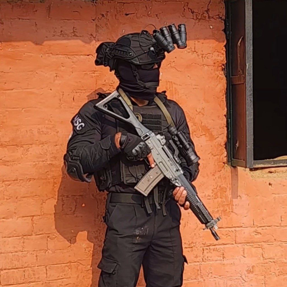 nsg panods.jpg