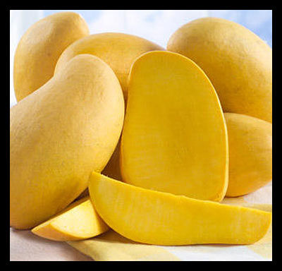 pakistani_mango_usaid_opt.jpg
