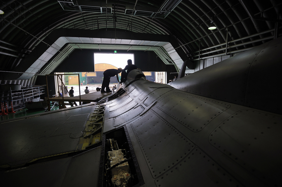 SHK_7462.jpg