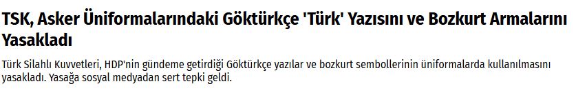 türk.JPG