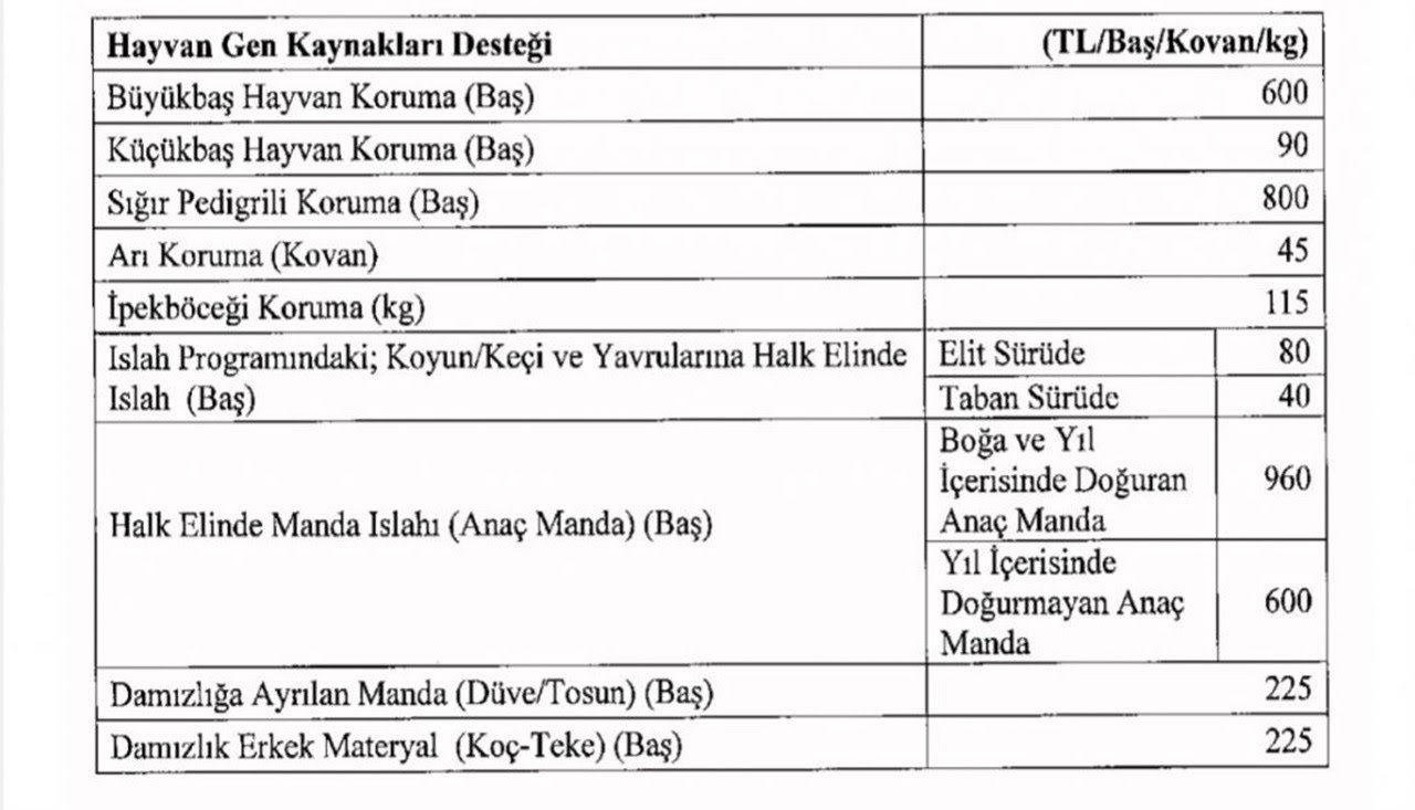 tablo5-JcAV.jpg