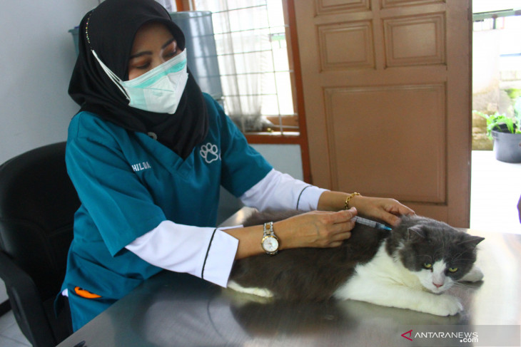Vaksinasi-Rabies-Gratis-Di-Malang-290921-abs-4.jpg