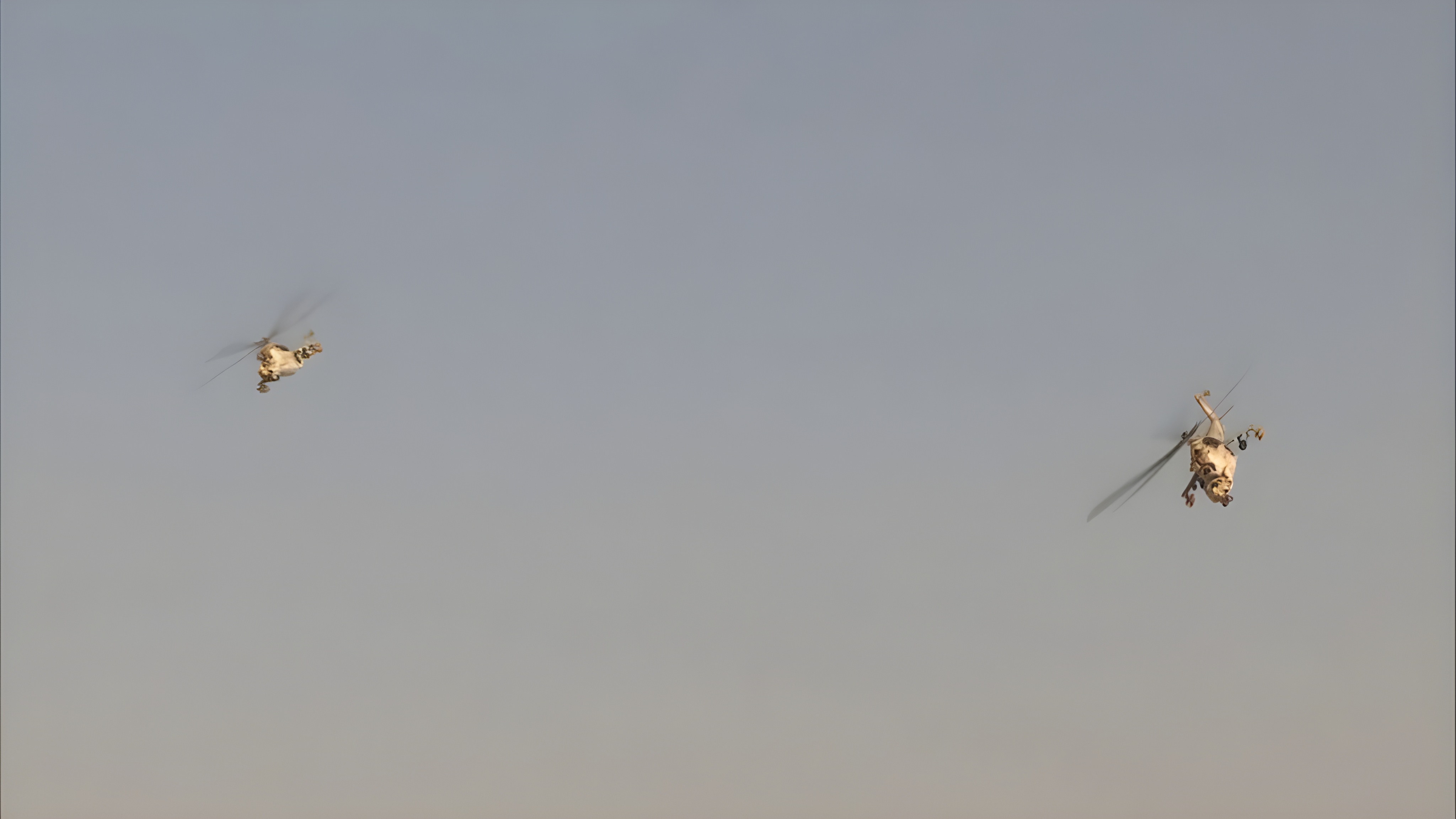 vlcsnap-2026-04-08-19h43m30s428.jpg