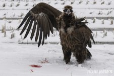 kuk202402230386.680x.9.jpg