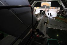 SHK_7480.jpg