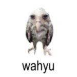 551428371_17936493468080366_6386866650555787501_n.jpeg