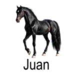 552273393_17936493423080366_7155250170650299596_n.jpeg