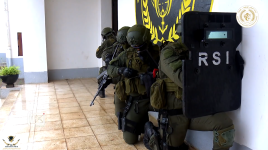 Sans titrexcvcvx.png