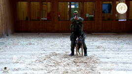 Sans titrecxvcxvcx.png