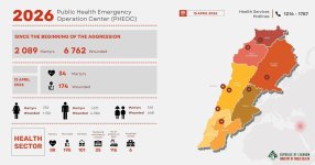 lebanese health2323.jpg
