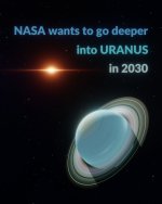 20260704_134904.jpg