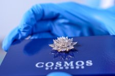 Cosmos Diamonds' Cosmic Bloom, Aagaman payload.jpg
