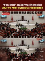 IMG_1254.jpeg
