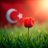 turkizilm