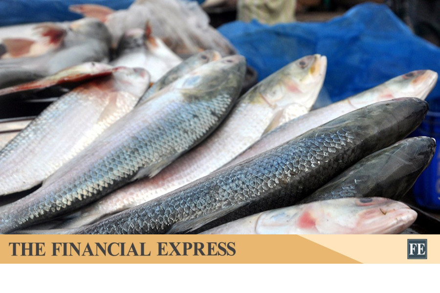 thefinancialexpress.com.bd