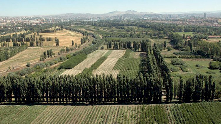 Secret tender in Atatürk Forest Farm