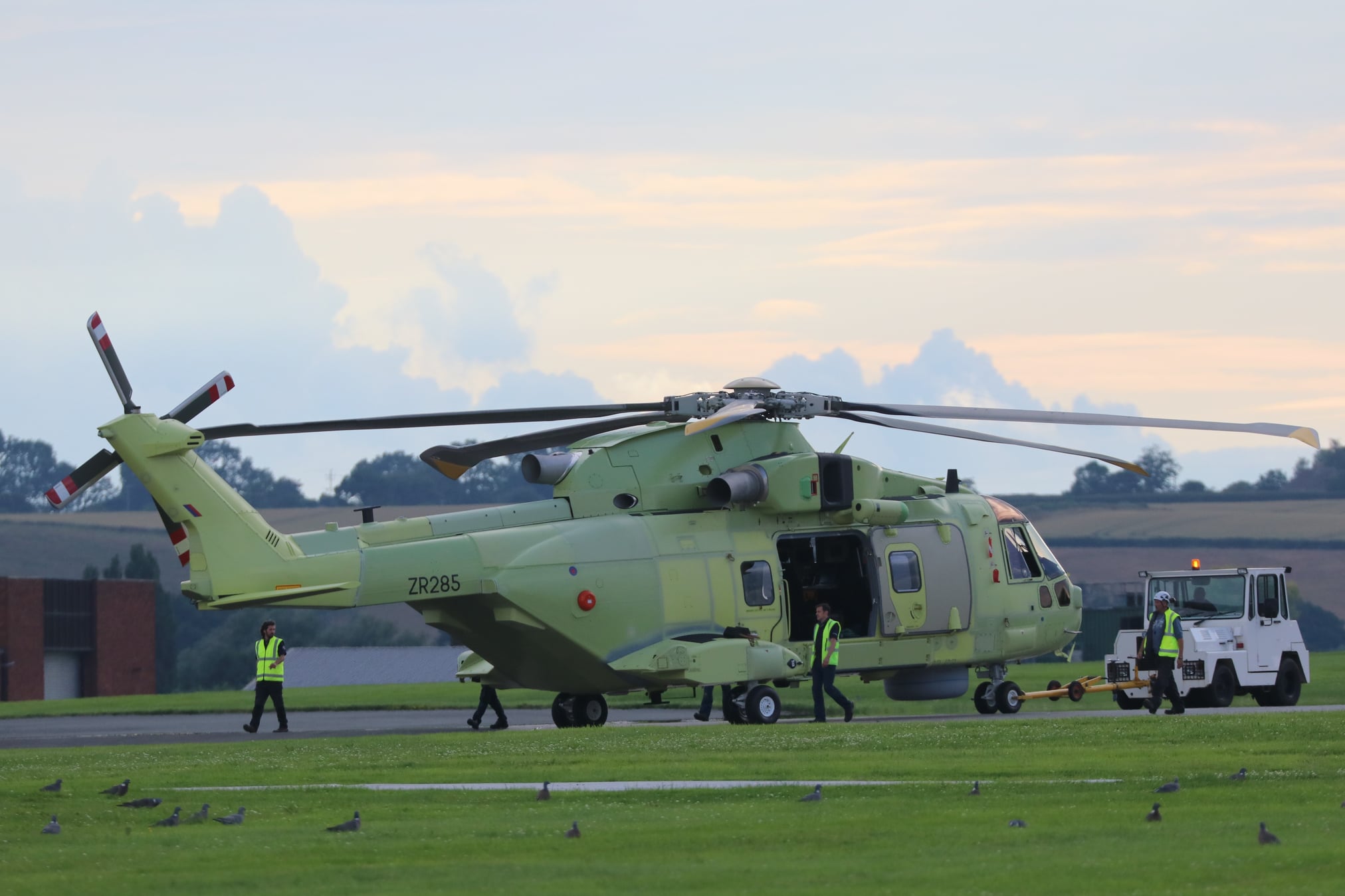 Poland_Merlin_at_Yeovil_Phil_Adkin.jpg