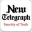 newtelegraphng.com