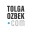 tolgaozbek.com