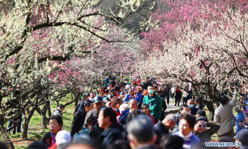 Tourists visit the Meihuashan (Plum Blossom Hill) scenic area in Nanjing, east China's Jiangsu Province, Feb. 19, 2021. A festival featured with plum blossom kicked off here on Friday.Photo:Xinhua