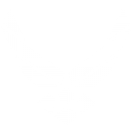 afresearchlab.com