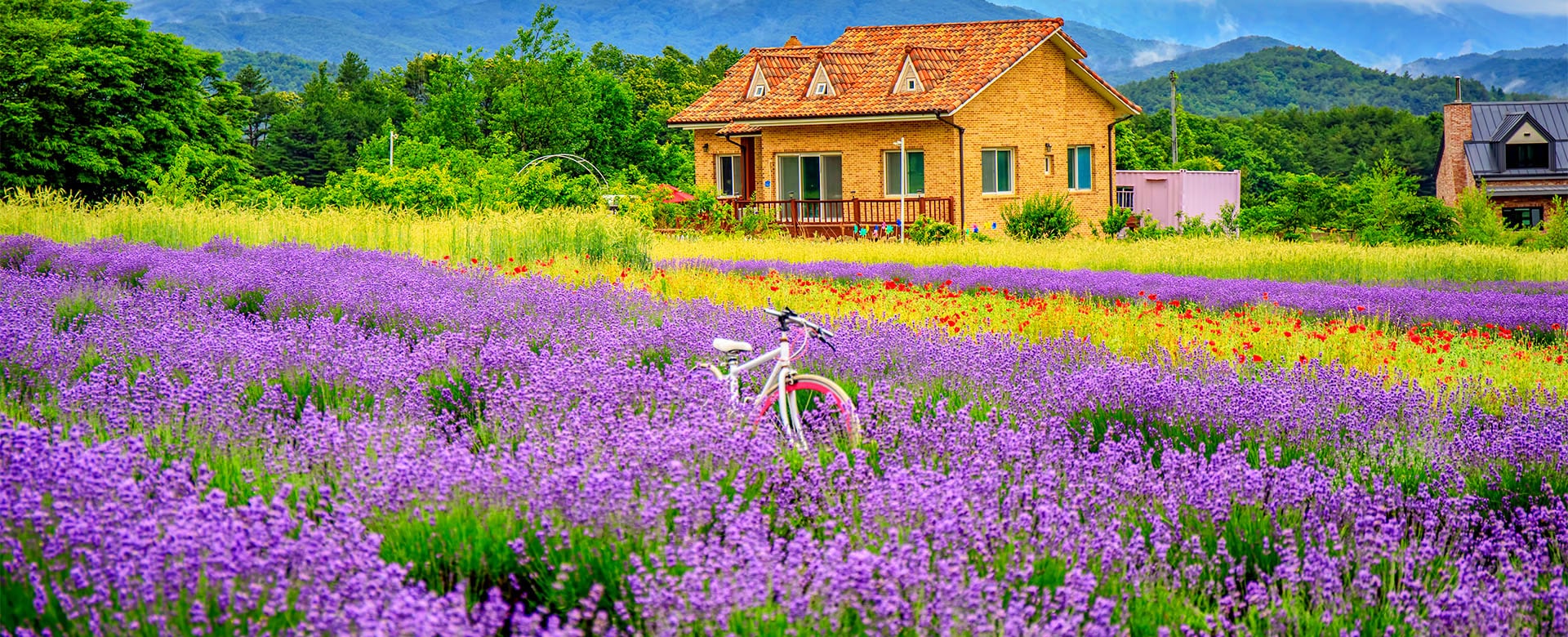 english.visitkorea.or.kr