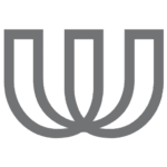 worldpeacefoundation.org