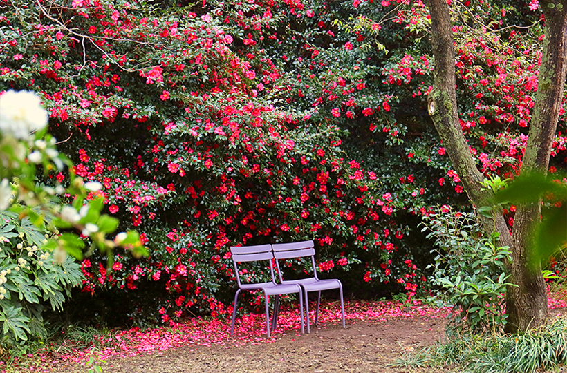 english.visitkorea.or.kr