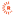 www.rudaw.net