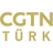 cgtnturk.com
