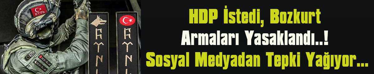 bozkurt_armalari_bdf26a8787b8fd01fe6f.jpg
