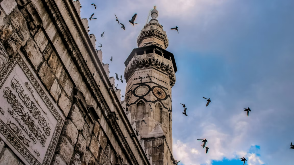 migrationpolicycentre.eu