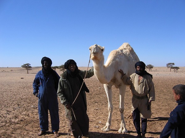 Sahrawi-nomads.jpg
