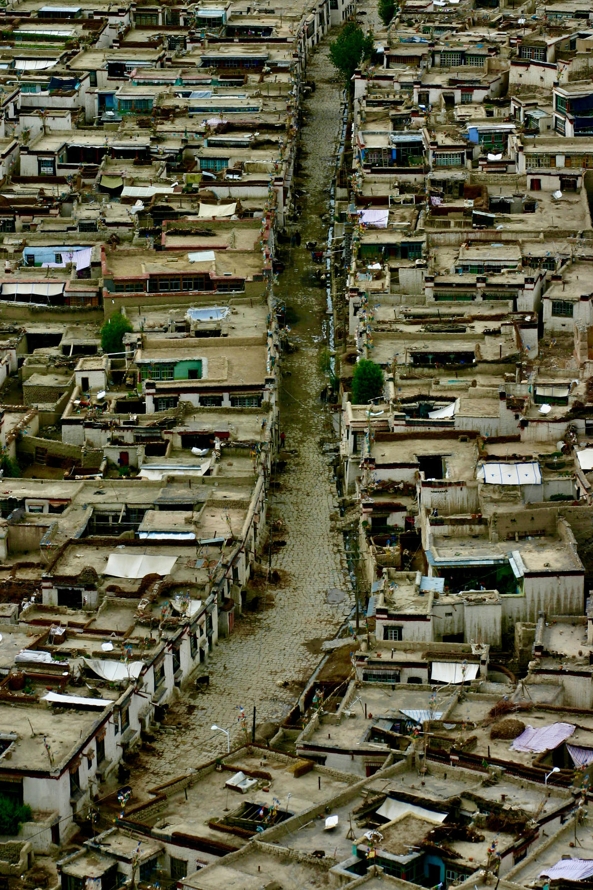 worldpopulationreview.com